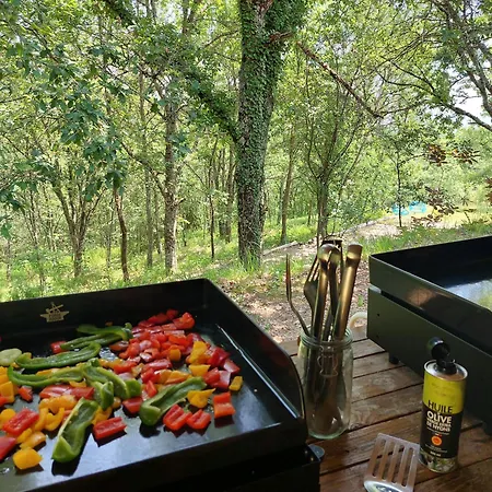 Les Hauts De Jeanvert - Le Cedre - Piscine - 別荘