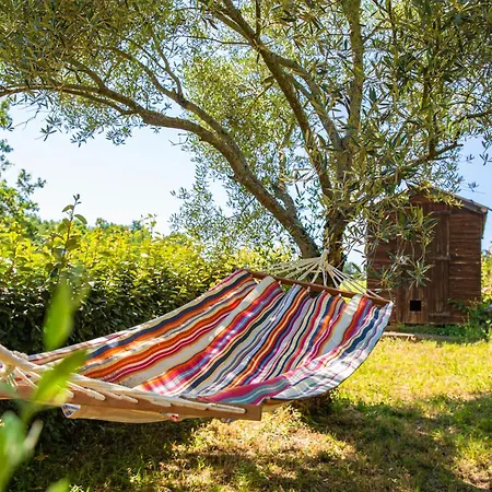 Les Hauts De Jeanvert - Le Cedre - Piscine - *