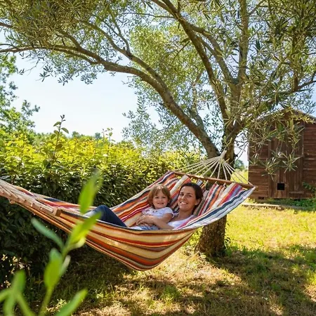 Semesterbostad Les Hauts De Jeanvert - Le Cedre - Piscine -